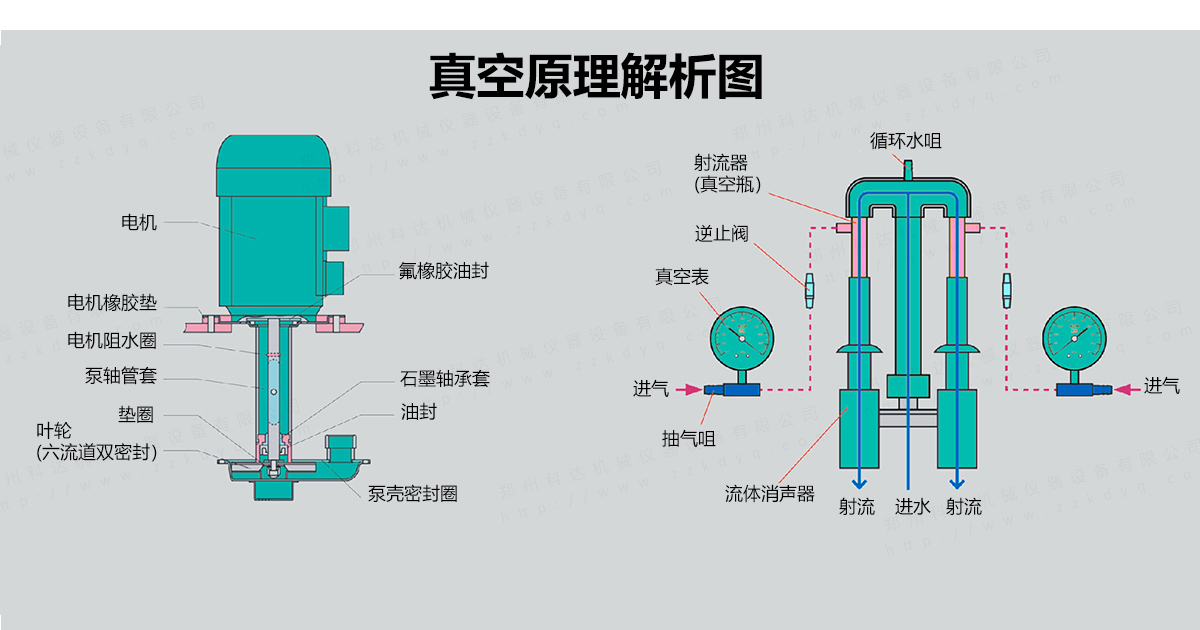 台式循環水式多用（yòng）真空泵